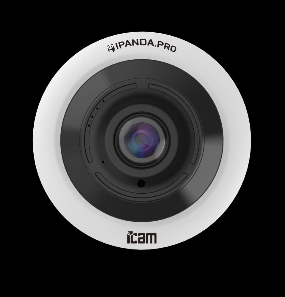 iCAM Hemispheric.12XM.